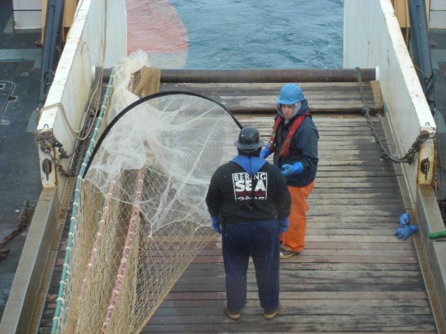 Fisheries Collection Picture