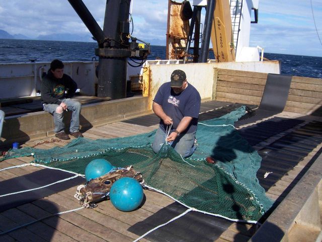 Fisheries Collection Picture