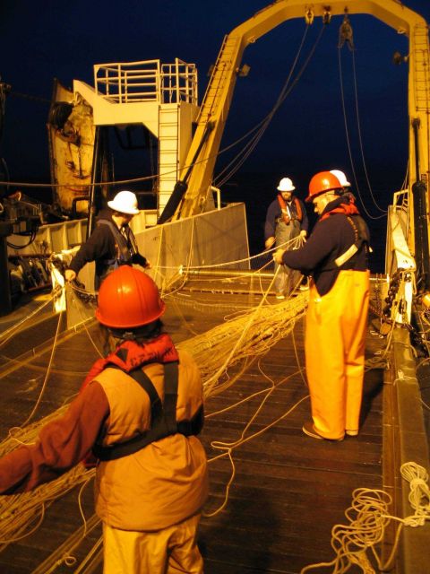 Deploying the gill nets. Picture