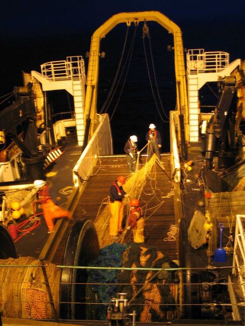 Preparing the gill nets for deployment. Picture