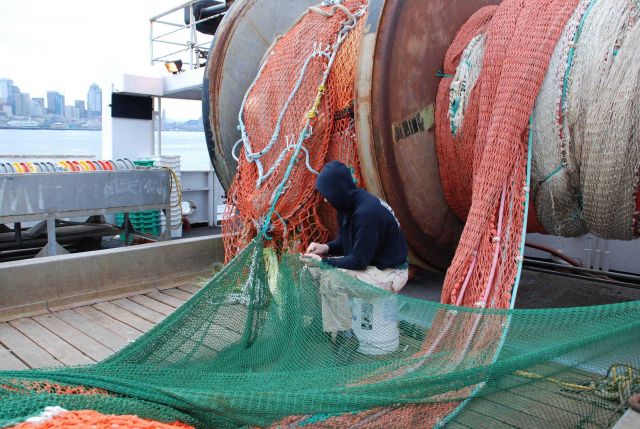 Net repair while in port. Picture
