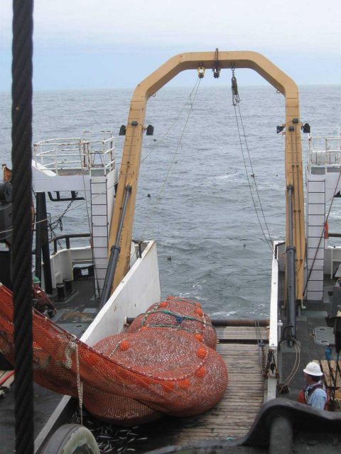 A full cod end of the net. Picture