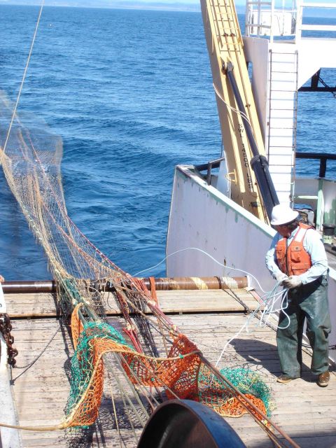 Deploying the trawl. Picture