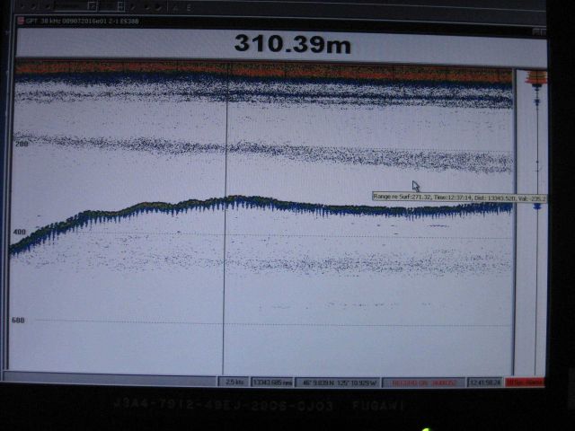 Light trace above bottom is caused by concentration of mid-water lanternfish, krill, and other small biota Picture