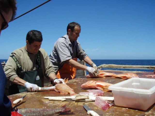 Sampling catch Picture
