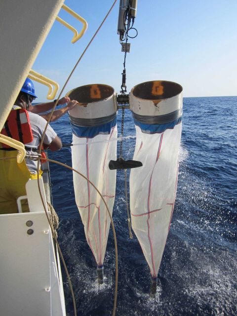 Hosing down the bongo nets before bringing them aboard. Picture