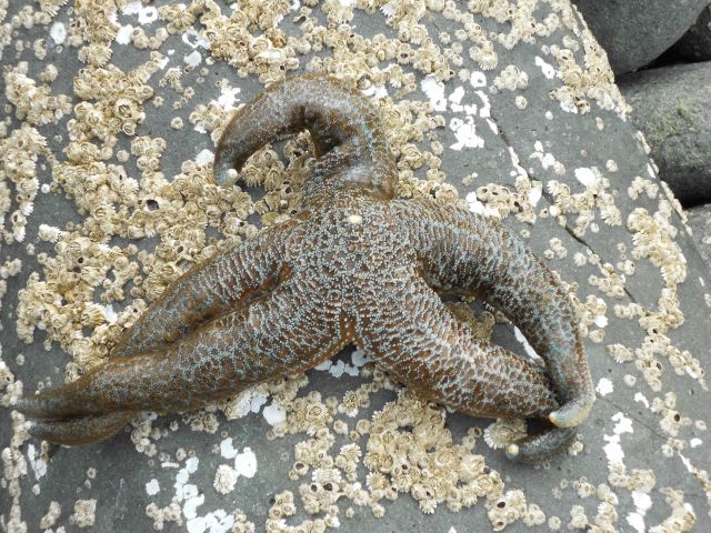 Fisheries Collection Picture