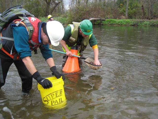 Monitoring stream water quality Picture