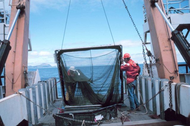 Preparing to deploy a multiple opening and closing net (MOCNESS) for studying plankton and small pelagic animals. Picture