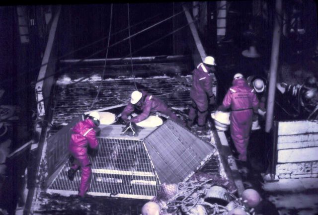Deploying a large fish trap or crab pot from the MILLER FREEMAN during night operations. Picture
