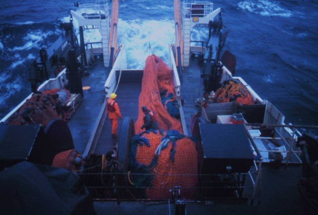 Deploying trawl net on the NOAA Ship MILLER FREEMAN. Picture