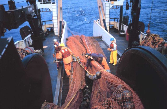 Trawling operations on the NOAA Ship MILLER FREEMAN. Picture