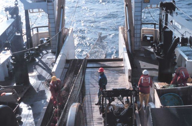 Trawling operations on the NOAA Ship MILLER FREEMAN. Picture