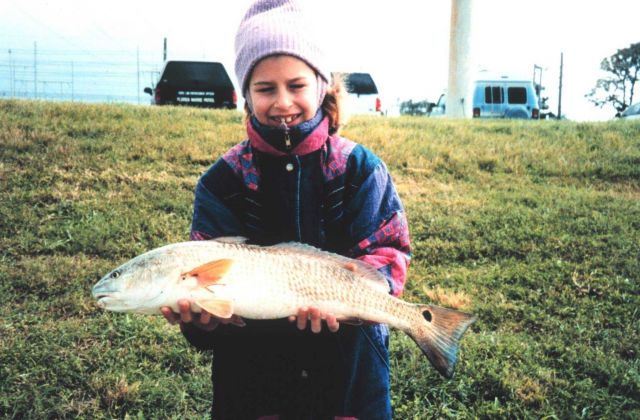 A smiling eight-year old displays the red drum that she caught at the Florida Power Plant discharge. Picture
