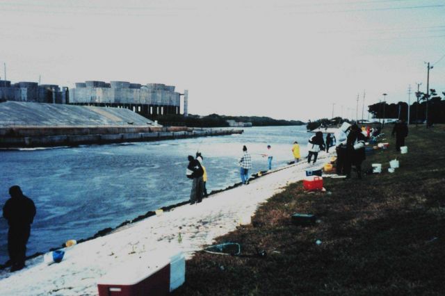 Fishing at the Florida Power warm water discharge site on a cool Florida day. Picture