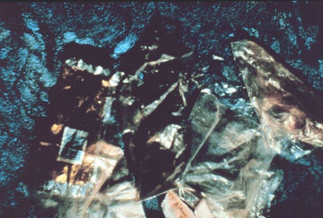 Trash floating in the sea. Picture