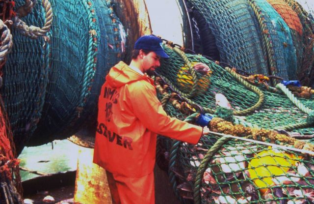 A National Marine Fisheries Service observer checks the dimensions of a net and its catch. Picture