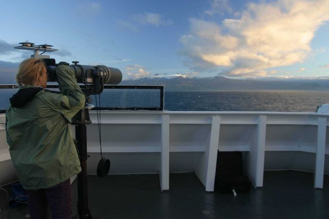 Searching the horizon with the 