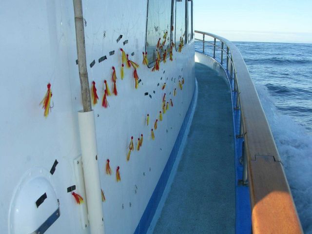 Sampling gangions affixed to the starboard side of the F/V AGGRESSOR. Picture