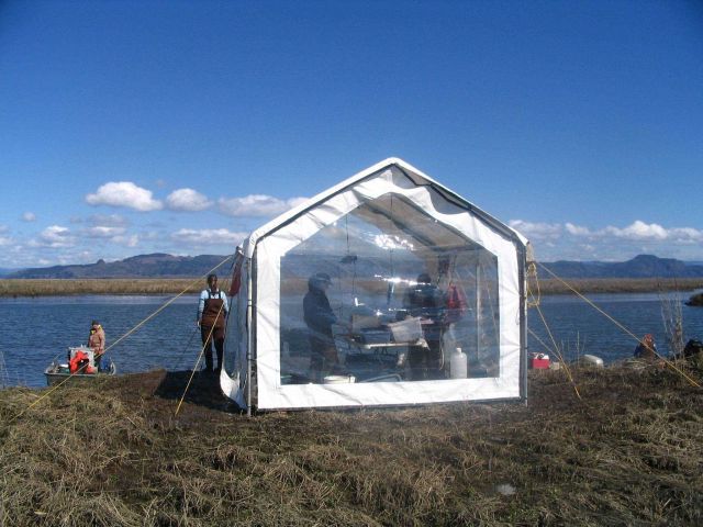 Columbia River Estuary seine sampling for juvenile Chinook salmon for mark- recapture to evaluate residency time Picture