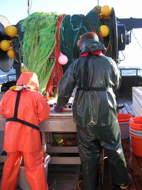 Keith Bosley and Suzanne Romain measuring fish on the NWFSC's annual groundfish survey off the West Coast, on chartered vessel Ms Picture