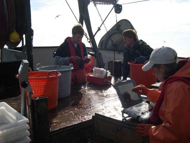 NOAA Fisheries employee's John Harms (left) and Stacey Miller with chartered vessel crewman Mike Retherford working up a sample obtained aboard the F/ Picture