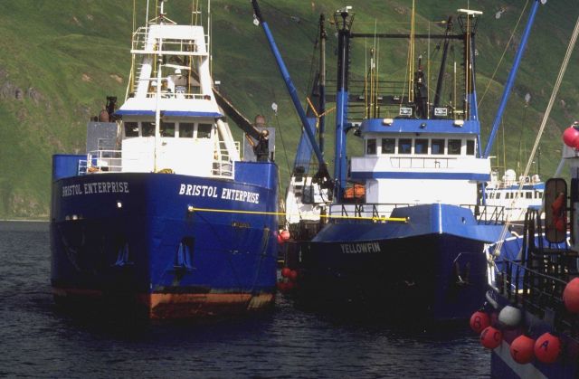 The BRISTOL ENTERPRISE and the YELLOWFIN Picture