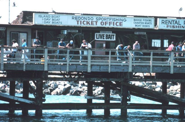 California pier angling. Picture