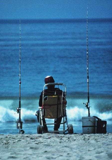 Angler surf fishing on beach. Picture