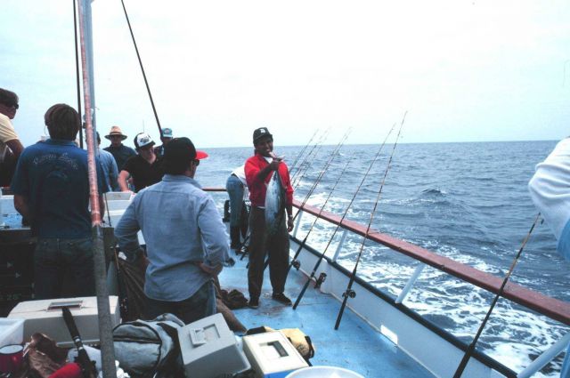 Happy angler displays albacore tuna aboard charter (CPFV) vessel Picture