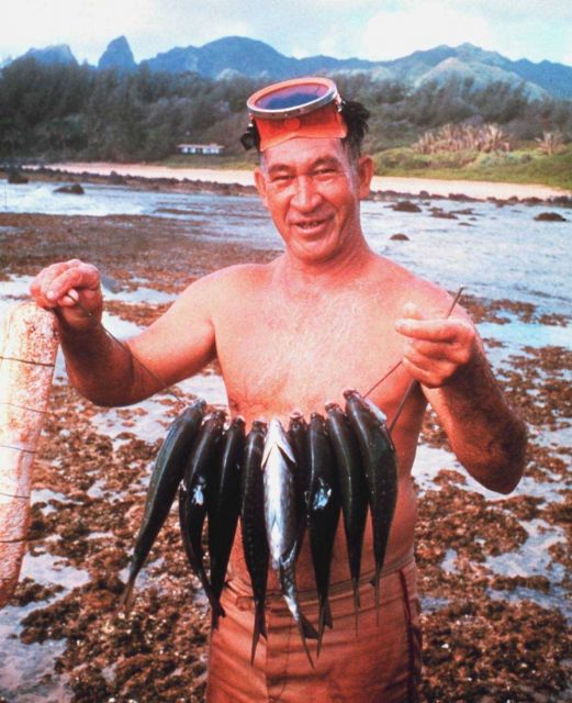Diver with nice string of fish Picture