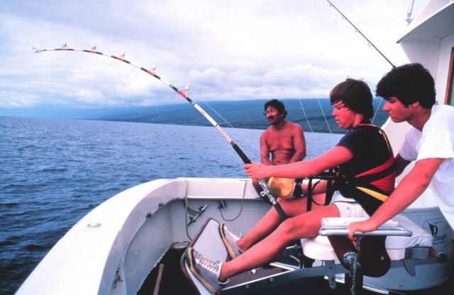 Charter vessel (CPFV) angler in fighting chair, hooked on a big marlin Picture