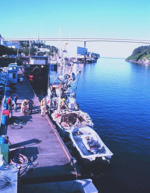 Looking northeast towards the Near Island Bridge Picture