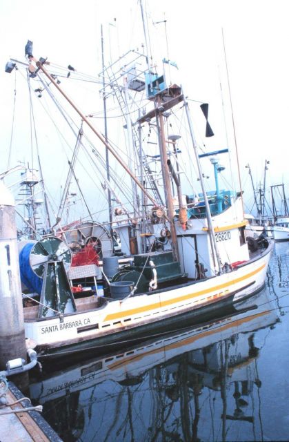 Part of the colorful fishing fleet at Santa Barbara Picture