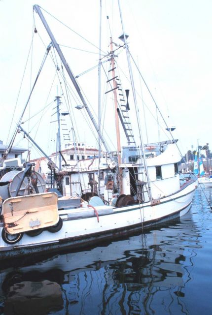 Part of the colorful fishing fleet at Santa Barbara Picture