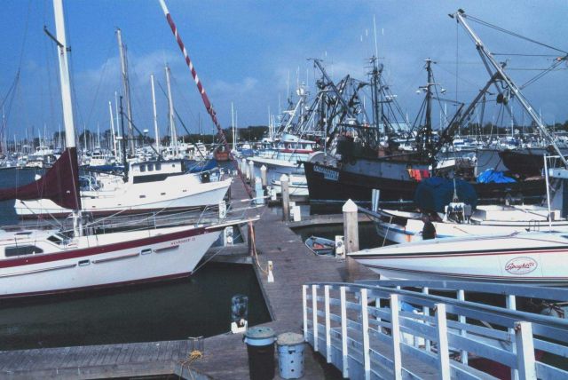 Fishing vessels at the Channel Islands Harbor Picture