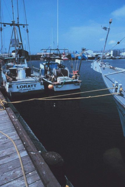 Various fishing vessels at Terminal Island next to the Heinz Plant Picture
