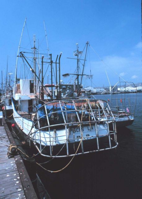 Various fishing vessels at Terminal Island next to the Heinz Plant Picture