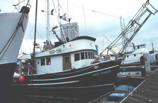 Various fishing vessels at San Diego Picture