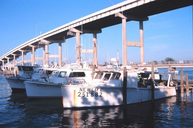 Fishing vessels at Snug Harbor along the Caloosahatchee River Picture