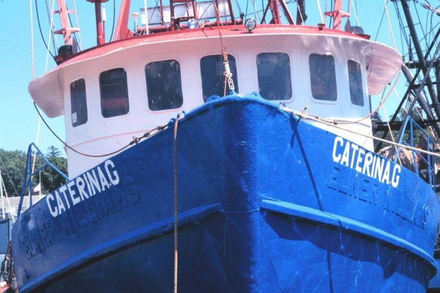 Bow of the CATERINA G. Picture