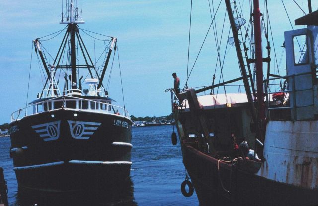 The F/V LADY CHERYL leaving port Picture