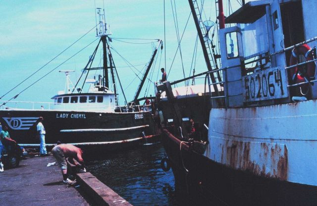 The F/V LADY CHERYL leaving port Picture
