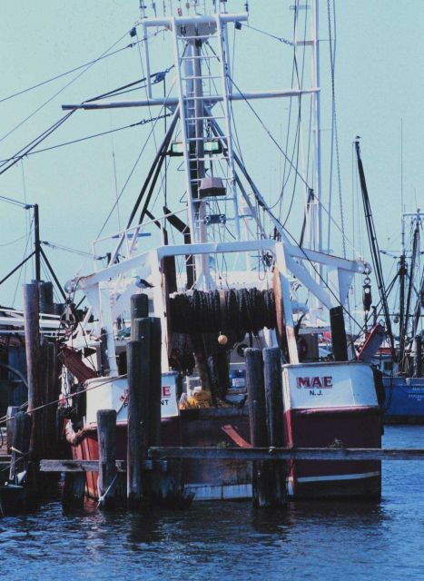 The F/V JAIME MAE rigged for fluke fishing. Picture