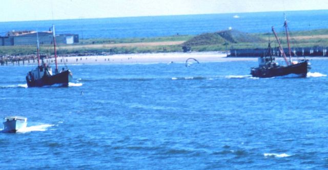 Clam dredgers. Picture