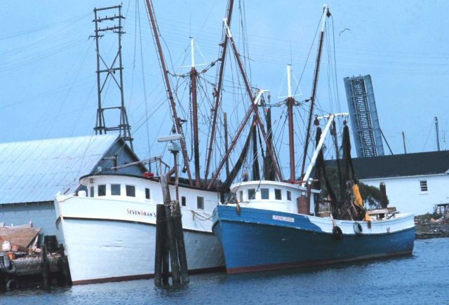 Shrimp boats at the pier Picture