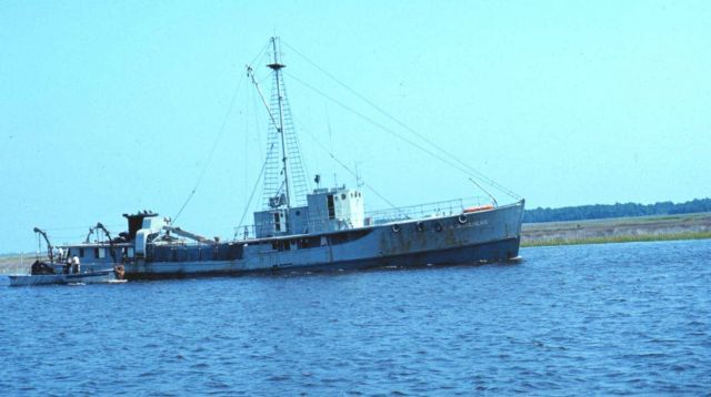 A menhaden mother vessel Picture