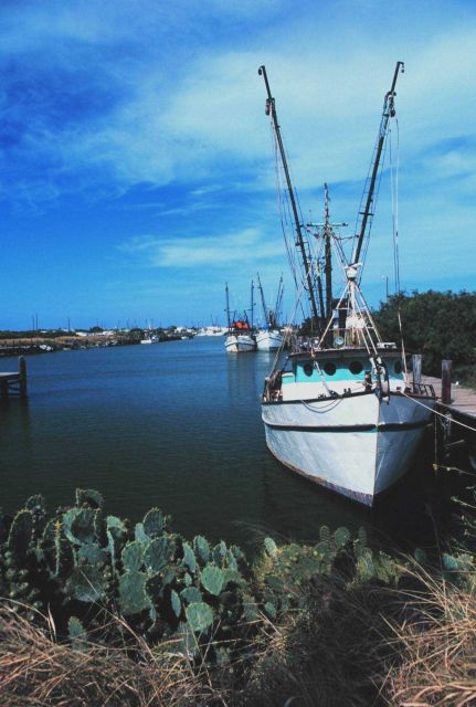 Shrimp trawlers and cactus - a seemingly incongruous but normal sight in south Texas. Picture