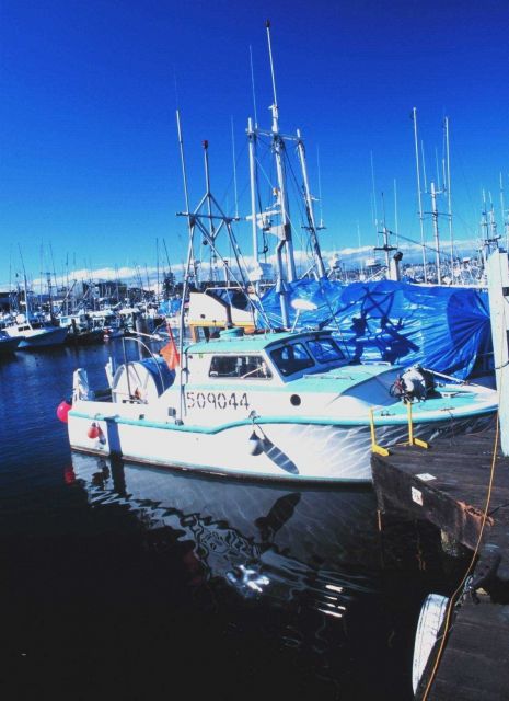 Fishing vessels at Fishermen's Port Picture