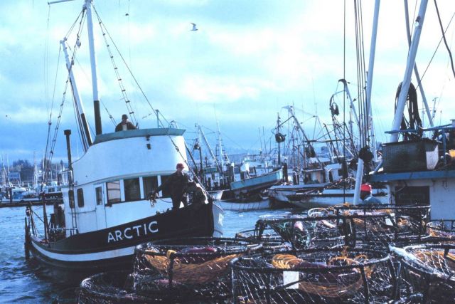 The fishing fleet at Blaine Picture